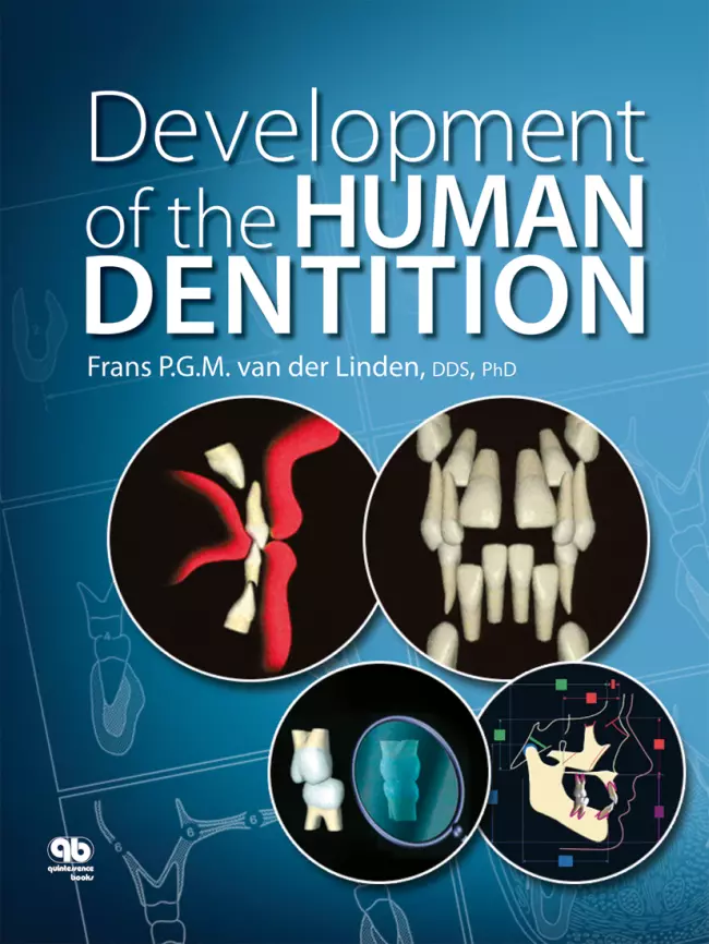 development of the human dentition